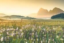 500比分足球-500比分足球，绿茵场上的数据革命与激情碰撞